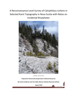 Final Report - Government of Nova Scotia