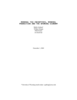 Mineral Tax Incentives, Mineral Production and the Wyoming Economy