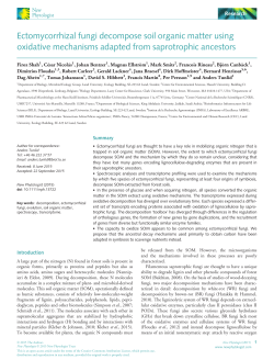Ectomycorrhizal fungi decompose soil organic
