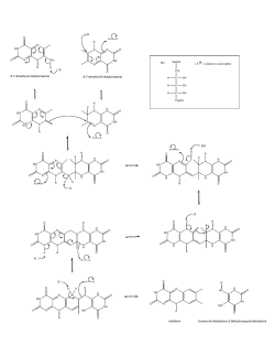 HN NH B HN X NH HN B HN BH HN B HN B HN B HN 6,7