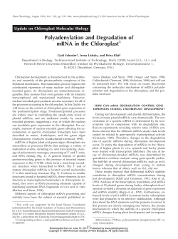 Polyadenylation and Degradation of mRNA in the