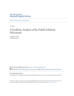 A Synthetic Analysis of the Polish Solidarity Movement