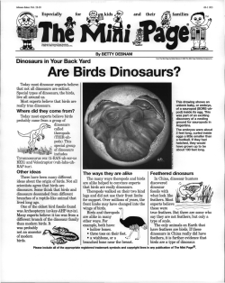 Are Birds Dinosaurs?