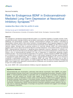 Role for Endogenous BDNF in Endocannabinoid