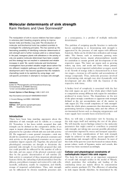 Molecular determinants of sink strength Karin Herbers and Uwe