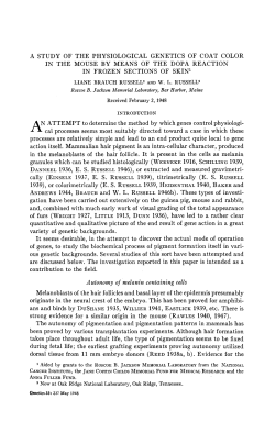 a study of the physiological genetics of coat color in the mouse by
