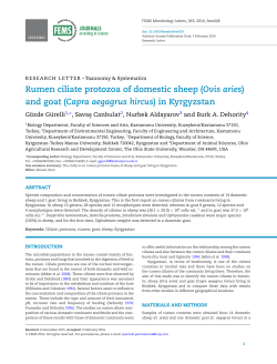 Rumen ciliate protozoa of domestic sheep (Ovis aries)