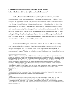 Corporate Social Responsibility as It Relates to Animal Welfare