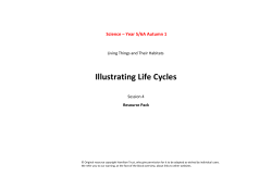 Illustrating Life Cycles