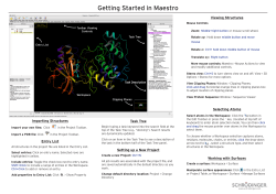 Getting Started in Maestro
