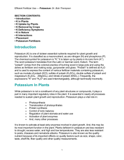 Introduction Potassium In Plants