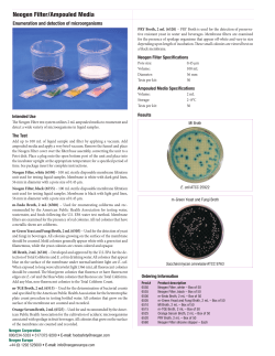 Neogen Filter, Black (box of 50)