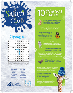 Safari Newsletter - The Summit Federal Credit Union