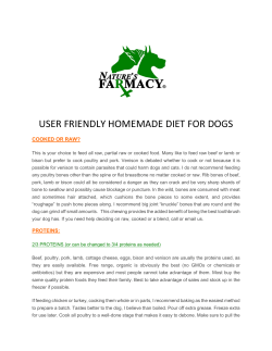 user friendly homemade diet for dogs