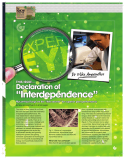 Interdependence - Mycorrhizal Applications