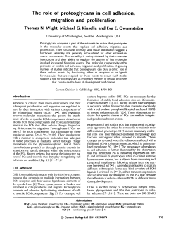 The role of proteoglycans in cell adhesion, migration and proliferation