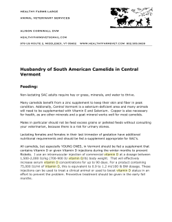 Husbandry of South American Camelids in Central Vermont