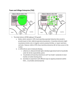 Town and Village Enterprise (TVE)