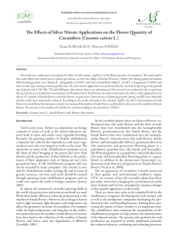The Effects of Silver Nitrate Applications on the Flower