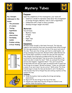 Mystery Tubes - STEM Literacy Project