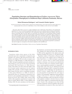 Population Structure and Reproduction of Padina
