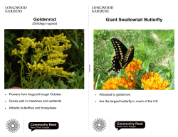 Meadow Cards Library Activity.pub