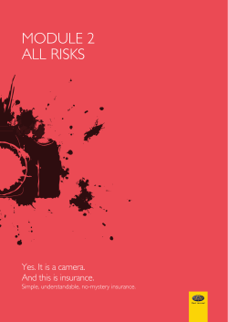 module 2 all risks