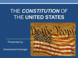 Amendment Avenger Constitution PDF