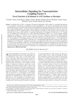 Intracellular Signaling for Vasoconstrictor Coupling