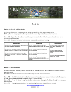 Grade # 4 - A Day Away Kayak Tours