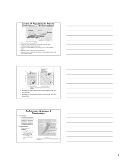 Lecture 20, Regulating the Internal Environment: I