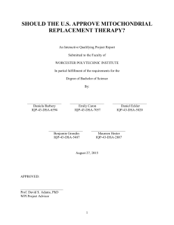 should the us approve mitochondrial replacement therapy?