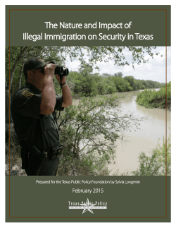 The Nature and Impact of Illegal Immigration on Security in Texas