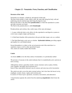 Chapter 22 - Nematodes: Form, Function, and Classification