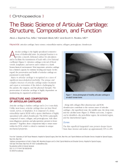 The Basic Science of Articular Cartilage