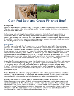 Corn-Fed Beef and Grass-Finished Beef