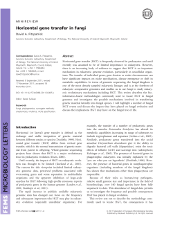 Horizontal gene transfer in fungi