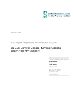 In Gun Control Debate, Several Options Draw - People
