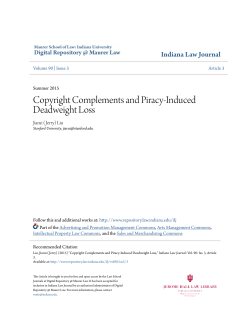 Copyright Complements and Piracy
