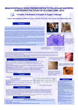 brachycephalic dogs predisposition to follicular