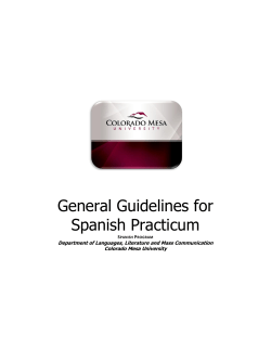 General Guidelines for Spanish Practicum