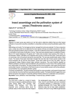 Insect assemblage and the pollination system of cocoa (Theobroma
