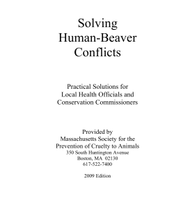 Beaver Packet for website