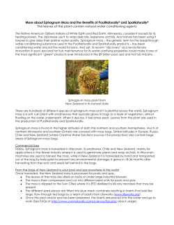 About Sphagnum Moss And The Benefits Of Pool