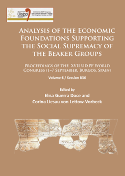 Analysis of the Economic Foundations Supporting