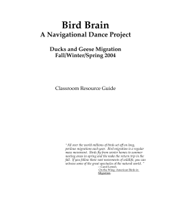 the guide