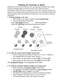 Following the Footsteps of Giants FIXED copy
