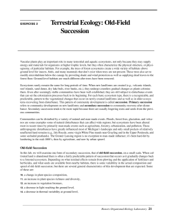 Old-Field Succession - Michigan State University