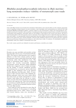 Rhabdias pseudosphaerocephala