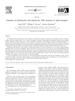 Function of prokaryotic and eukaryotic ABC proteins in lipid transport